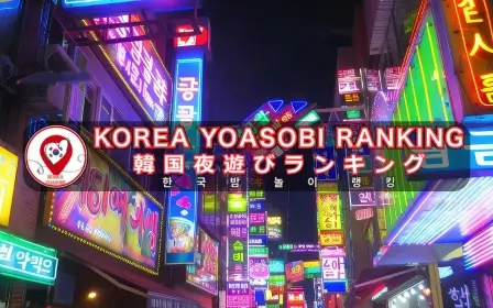 世界夜遊びランキング韓国480webp